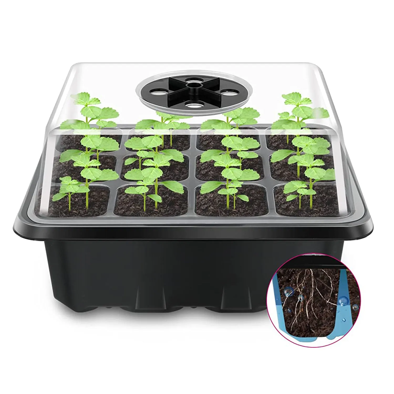 5 Packs 12 Cells Seed Starter Tray Seed Starter Kit