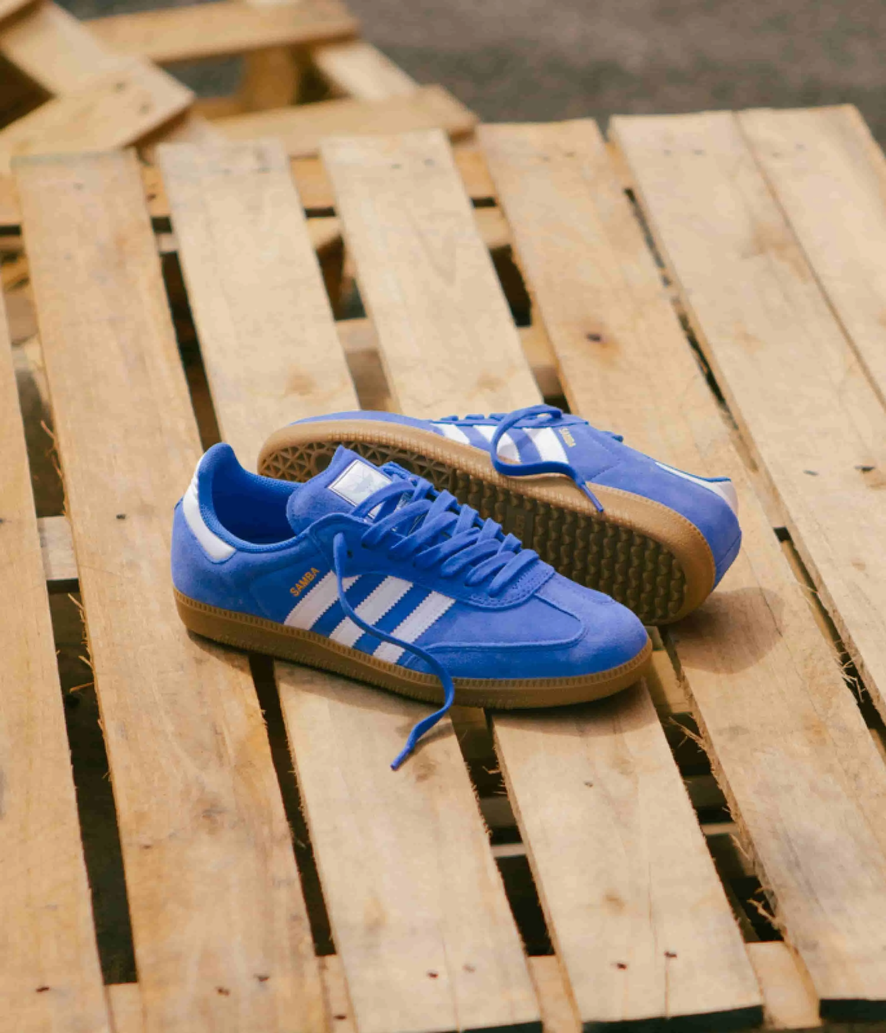 Adidas Samba ADV Shoes - Bluebird / Cloud White / Gold Metallic