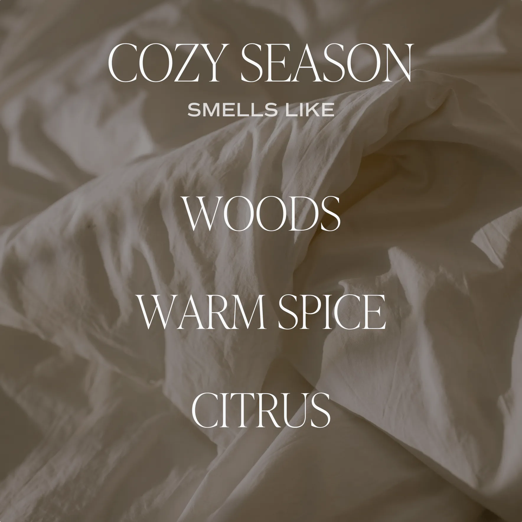 COZY SEASON SOY CANDLE