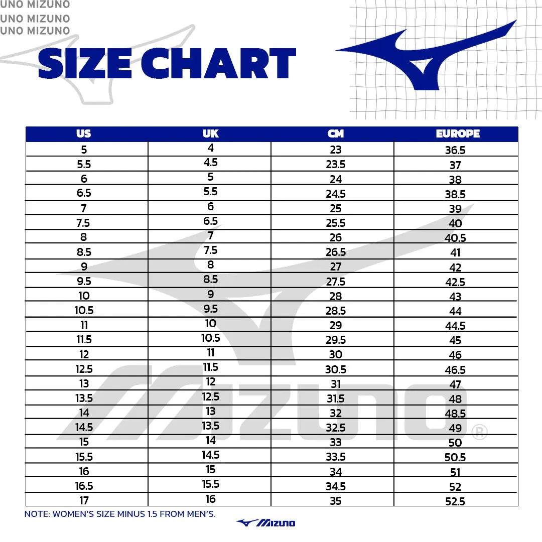 Mizuno Gate Sky Plus 3 Non Marking Badminton Shoes