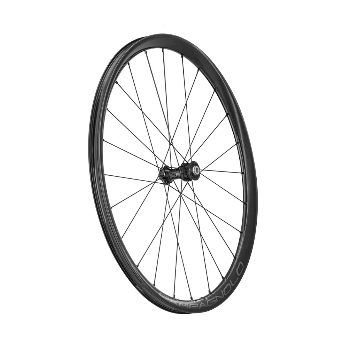 Wheelset Campagnolo Levante 700C DB 2WF AFS - 12x100mm | 12x142mm