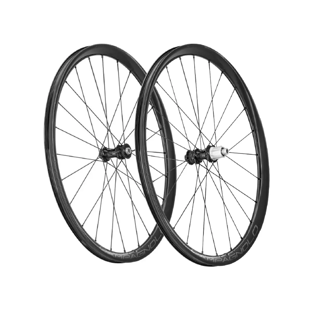 Wheelset Campagnolo Levante 700C DB 2WF AFS - 12x100mm | 12x142mm