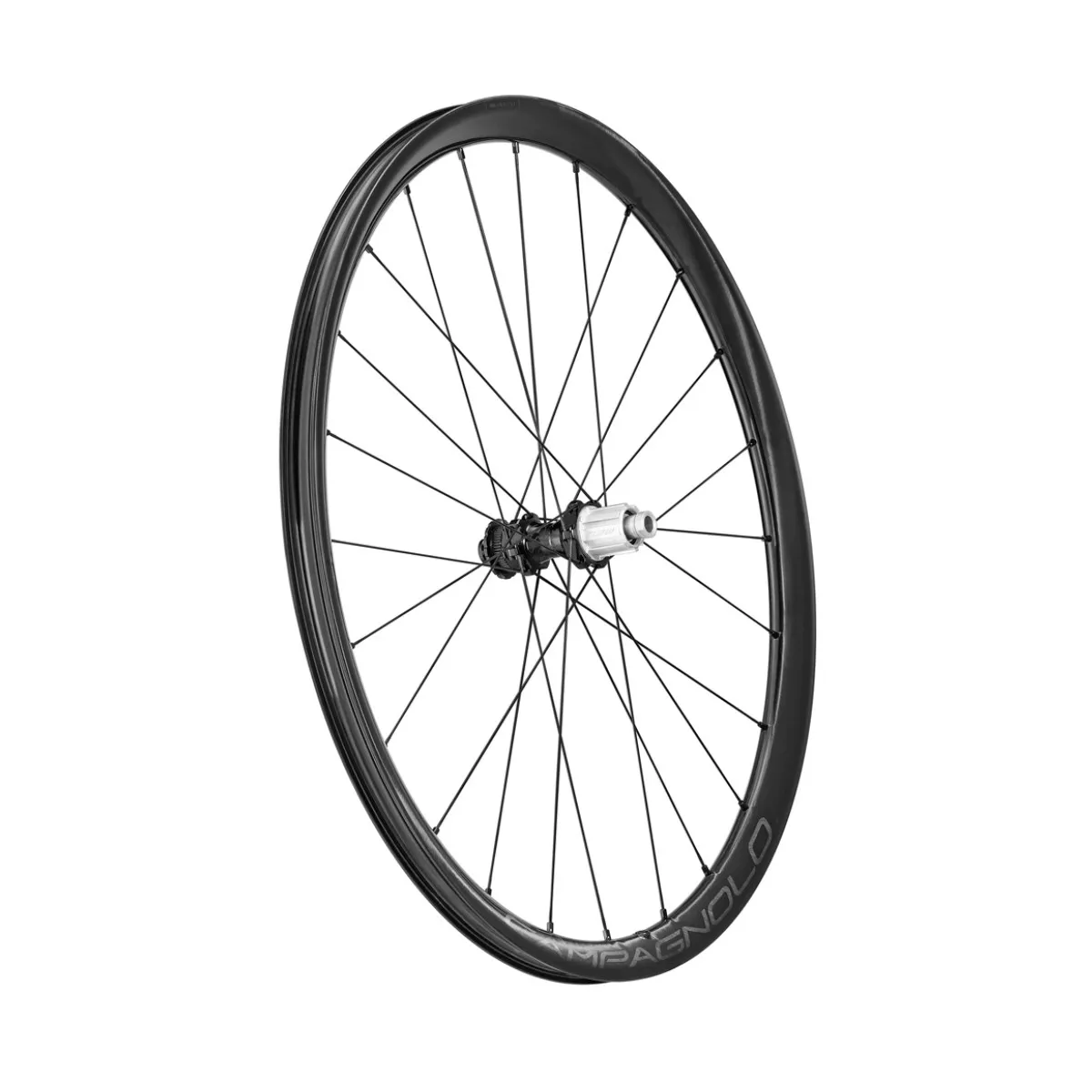 Wheelset Campagnolo Levante 700C DB 2WF AFS - 12x100mm | 12x142mm