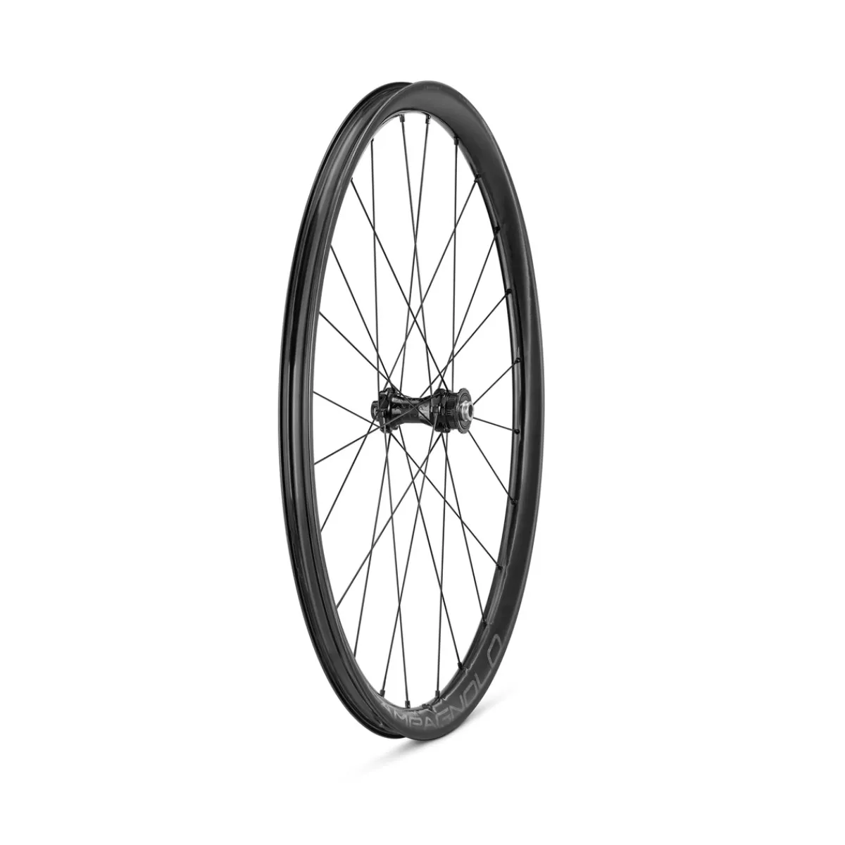 Wheelset Campagnolo Levante 700C DB 2WF AFS - 12x100mm | 12x142mm