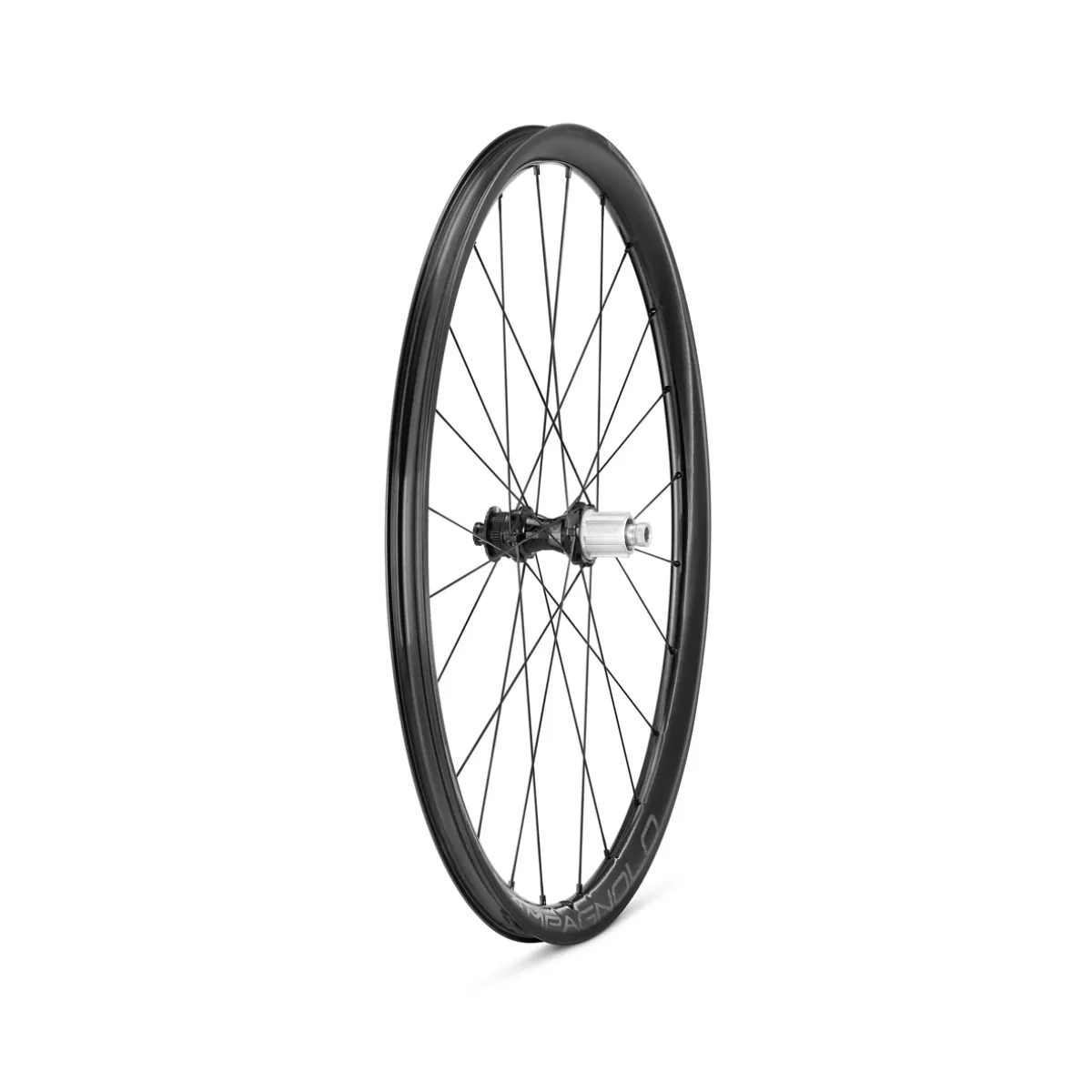 Wheelset Campagnolo Levante 700C DB 2WF AFS - 12x100mm | 12x142mm