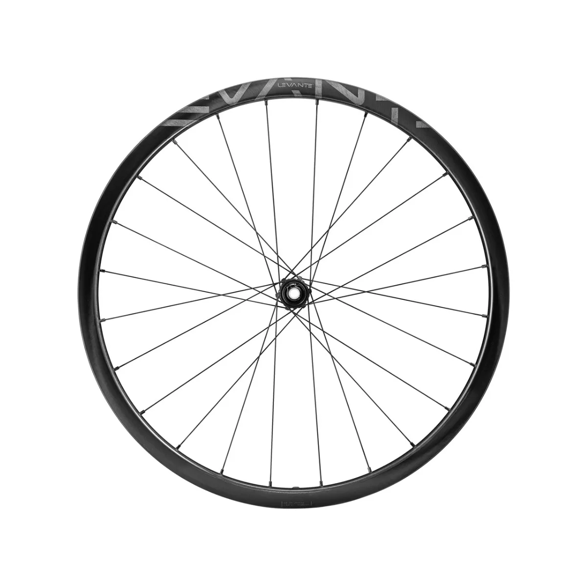 Wheelset Campagnolo Levante 700C DB 2WF AFS - 12x100mm | 12x142mm