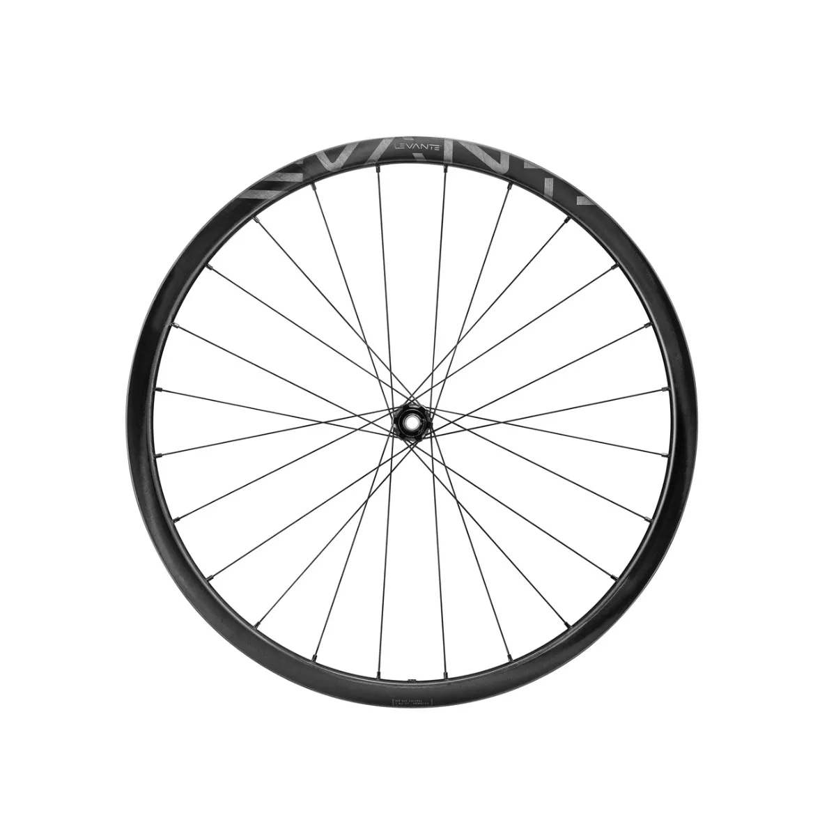 Wheelset Campagnolo Levante 700C DB 2WF AFS - 12x100mm | 12x142mm