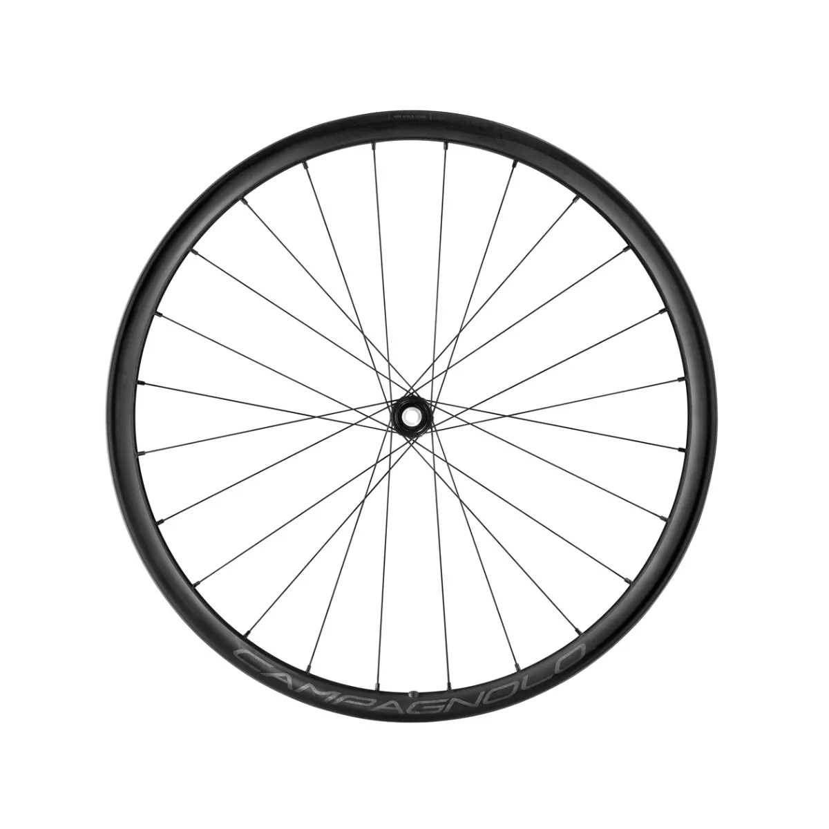 Wheelset Campagnolo Levante 700C DB 2WF AFS - 12x100mm | 12x142mm