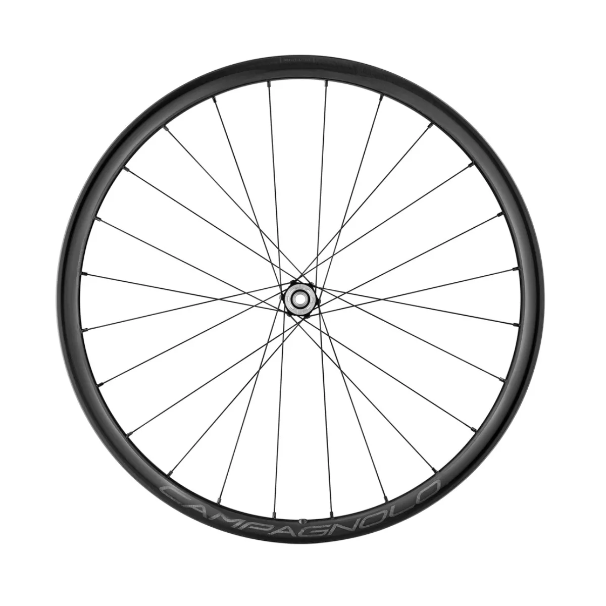 Wheelset Campagnolo Levante 700C DB 2WF AFS - 12x100mm | 12x142mm